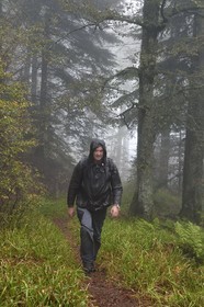 France, Vosges (88), Parc naturel régional des ballons des Vosges, Saint-Maurice-sur-Moselle, Claude Michel, responsable du pôle nature et biodiversité du Parc naturel régional des Ballons des Vosges