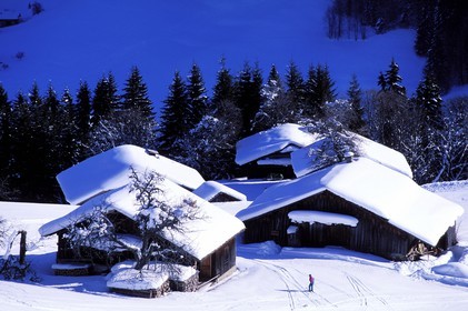 France, Haute Savoie, Les Portes du soleil ski area, Morzine ski resort