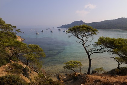 France, Var, Iles d'Hyeres, National Park of Port Cros, ile de Porquerolles, Plage Notre Dame