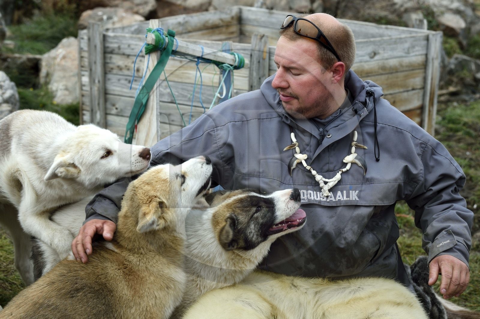 Groenland, cote ouest, Uummannaq, l'éleveur de chiens de traineau Malti Suulutsun portant un pantalon en peau d'ours