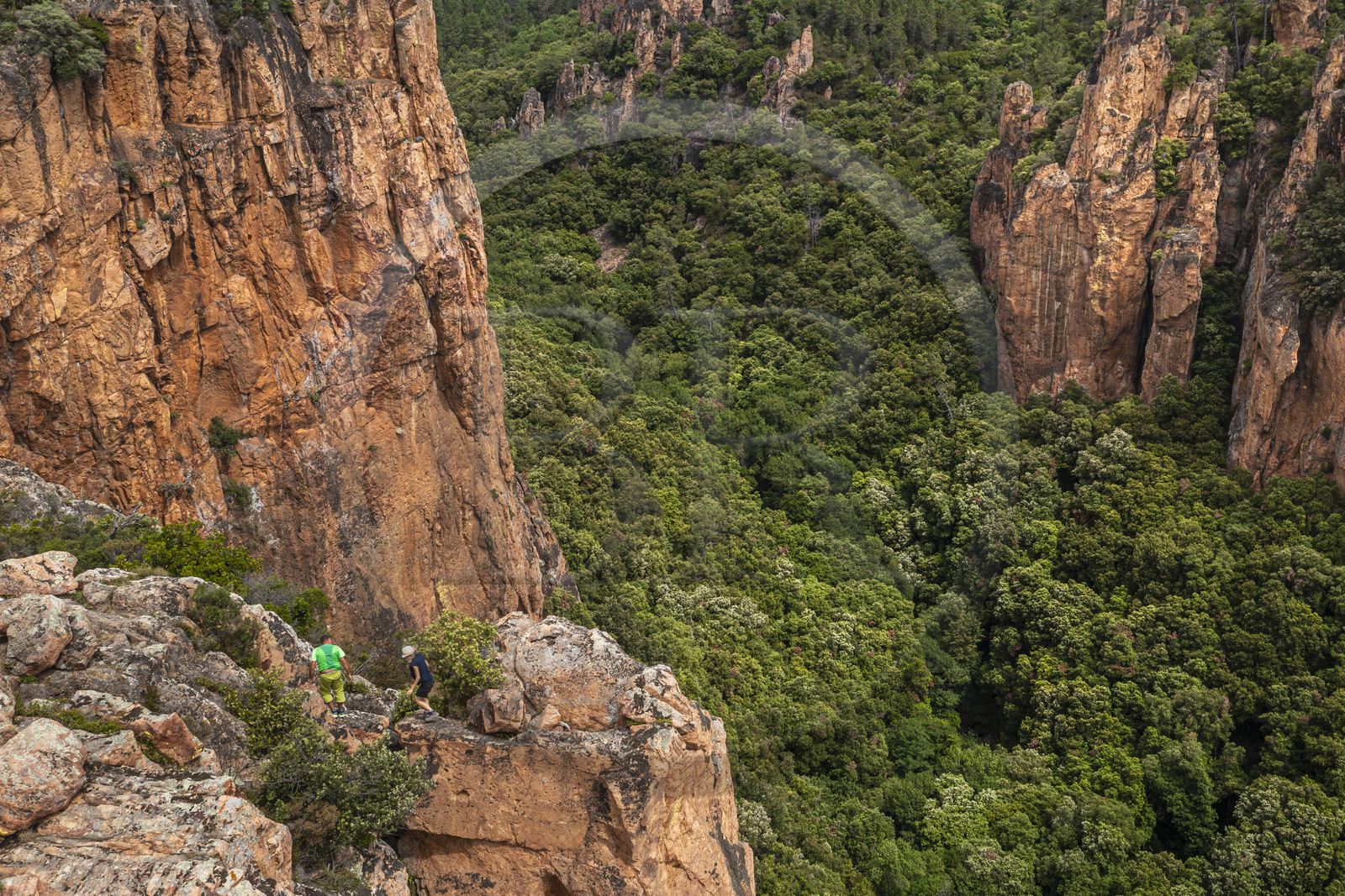 France, Var, between Bagnols en Foret and Roquebrune sur Argens, hikers at the entrance of the Gorges du Blavet (aerial view)