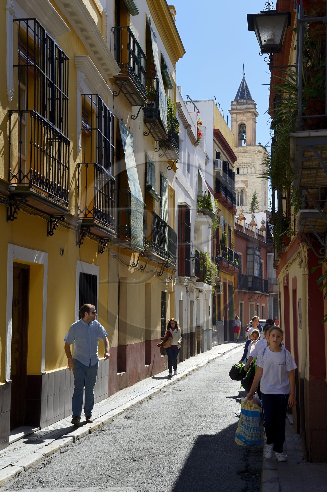 Spain, Andalusia, Seville, calle San Luis and San Marcos church