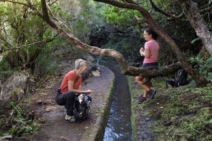 Portugal, Ile de Madère, randonnée dans La forêt de Rabaçal par la levada do Alecrim, un de ces innombrables canaux d'irrigation qui guident l’eau des hauts plateaux jusqu’aux terrasses cultivées du sud, pause pique-nique
