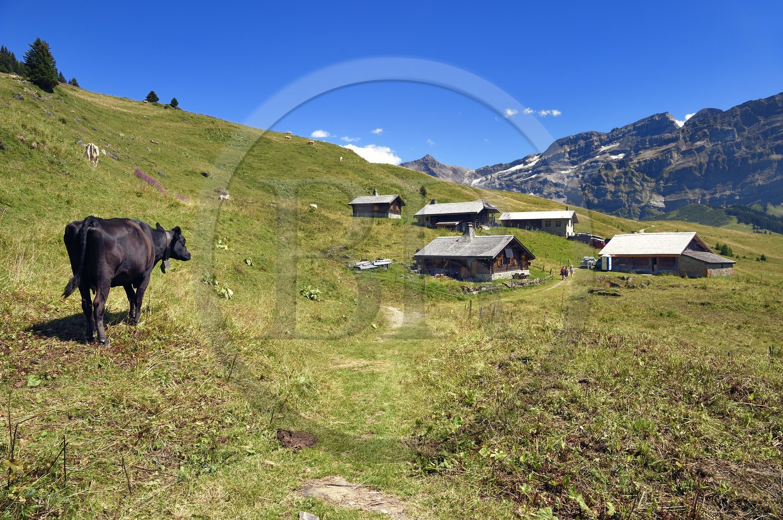 Suisse, canton de Vaud, Villars-sur-Ollon, randonnée du col de Bretaye au col de la Croix en passant par le hameau d'Ensex, le hameau d'Ensex