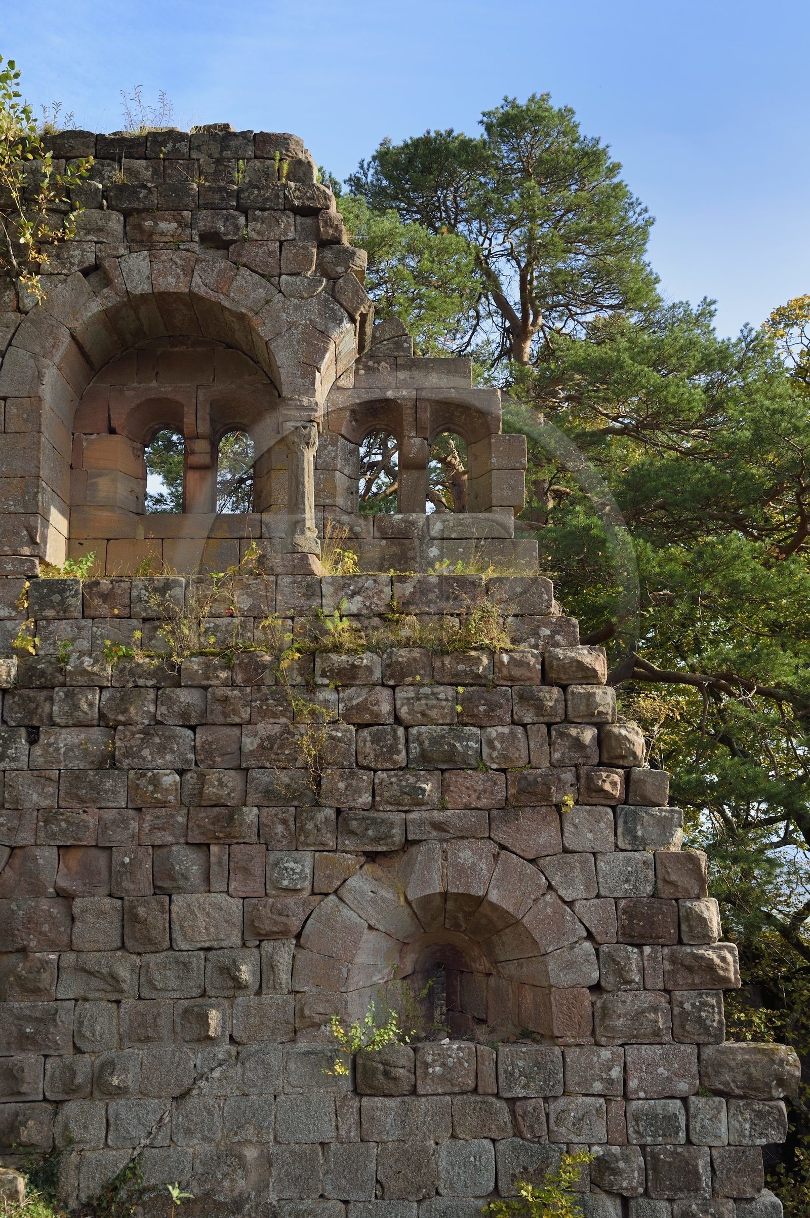 France, Bas-Rhin (67), Heiligenstein, chateau du Landsberg du XIIIème siècle, logis seigneurial