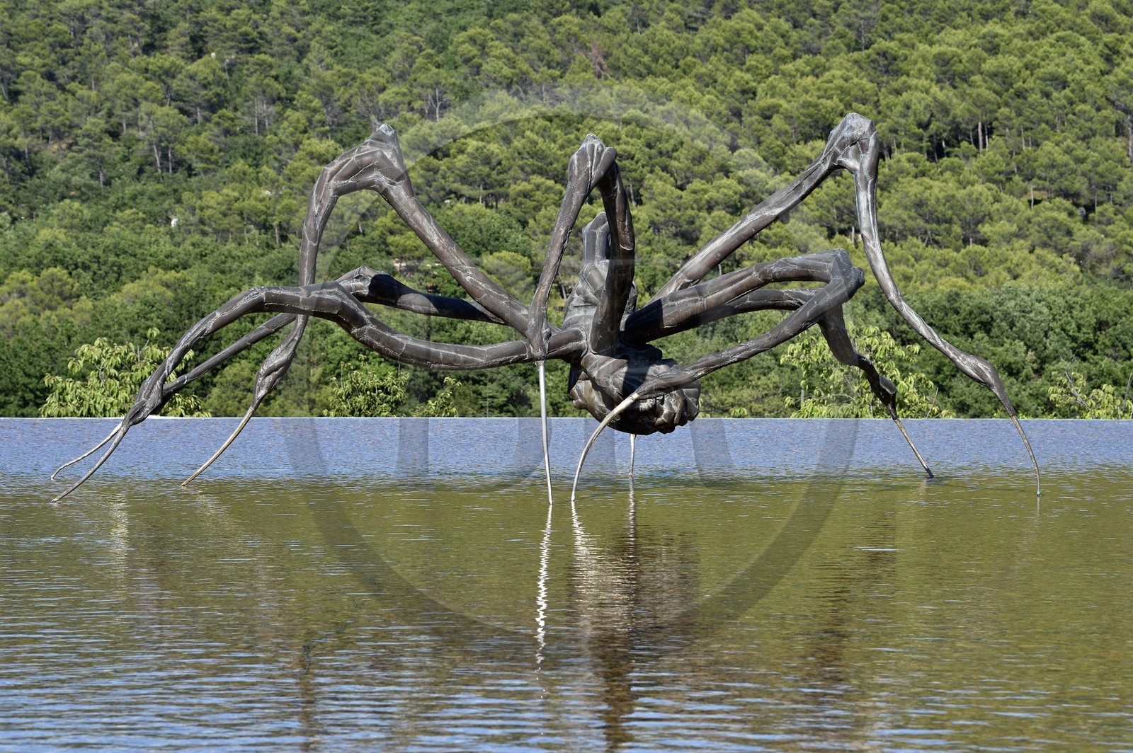 France, Bouches-du-Rhône (13),  Le Puy Sainte Réparade, Chateau La Coste domaine viticole et centre d'art contemporain, Crouching Spider 6695 de Louise Bourgeois (Mention Obligatoire)