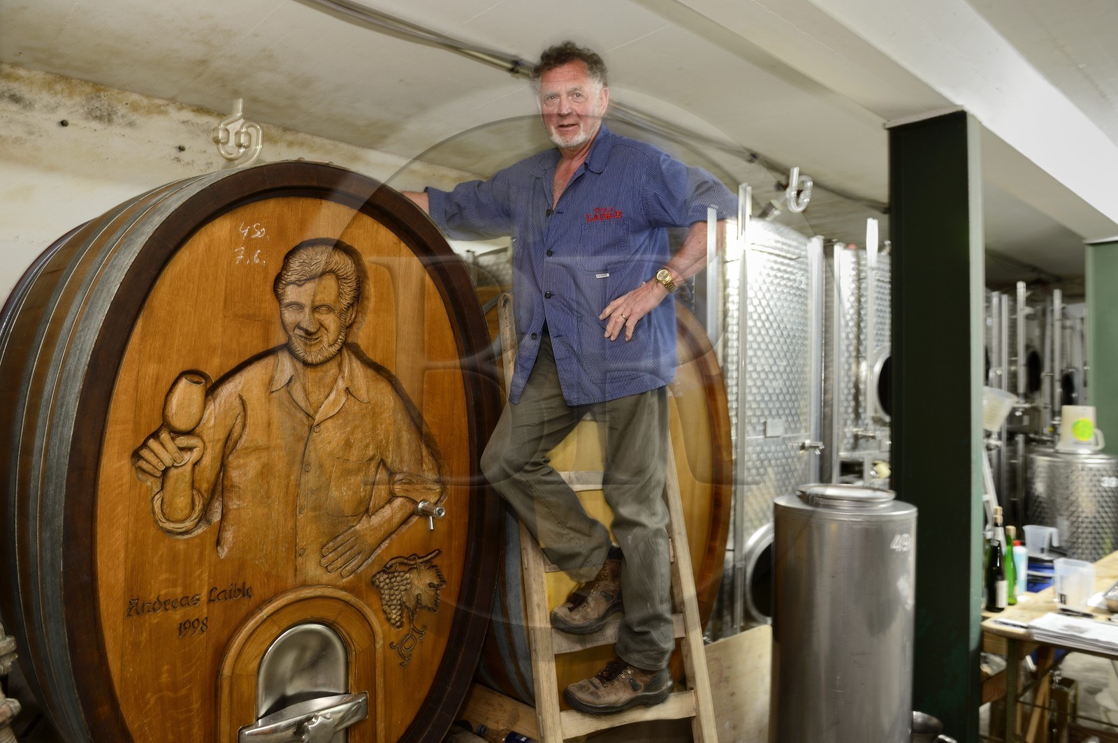 Germany, Baden-Wurttemberg, Durbach vineyard, winery Laible, Andreas Laible