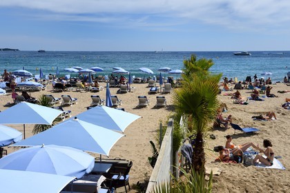 France, Alpes-Maritimes (06), Cannes, plage de la Croisette