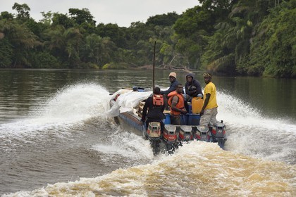 Gabon, province de Ogooué- Maritime, transport de frêt sur un bateau à moteur descendant une rivière de la lagune du Fernan Vaz (Nkomi)