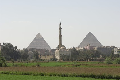 Egypt, Cairo, fields boarding the nil and the Giza pyramids