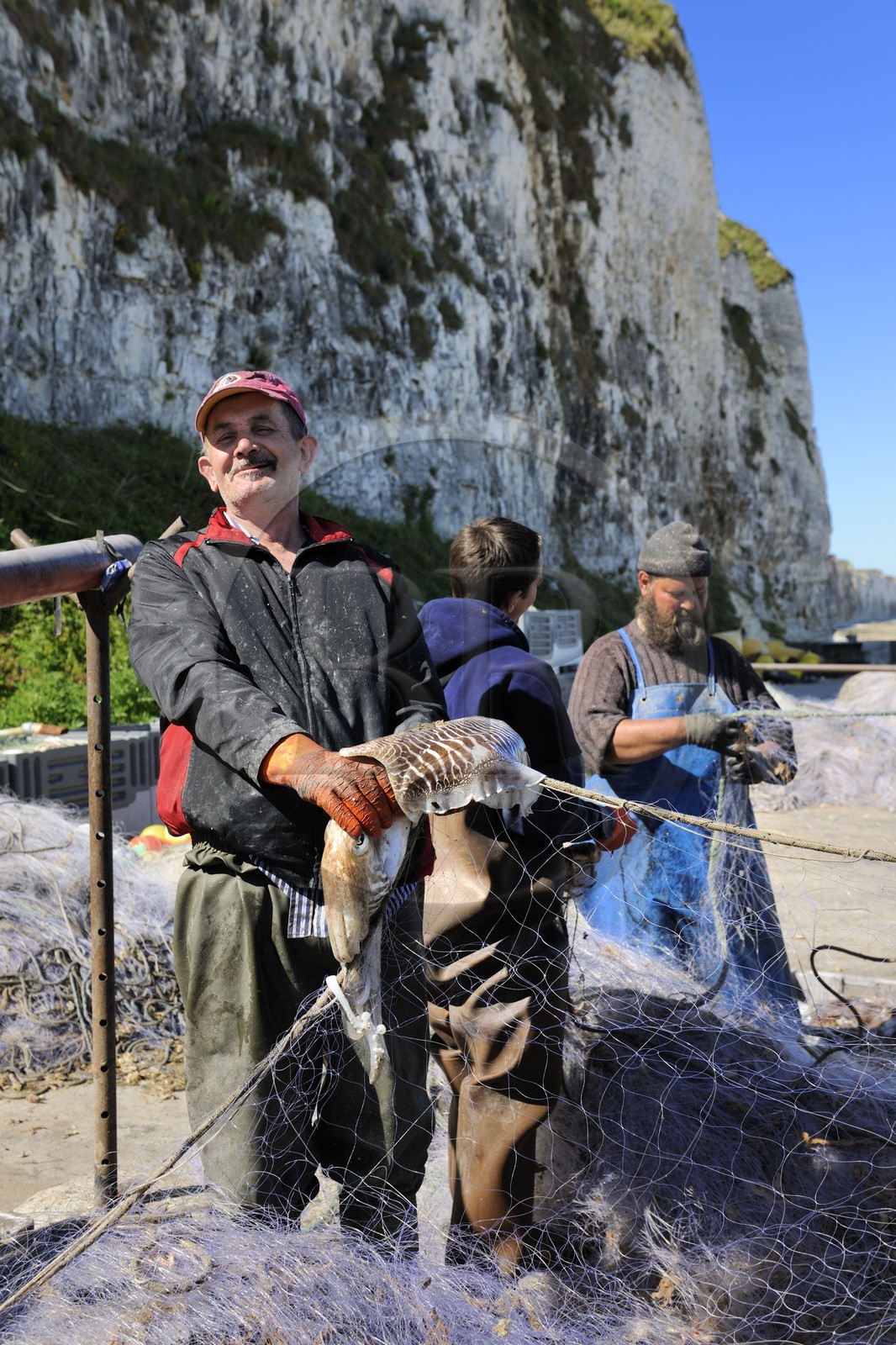 France, Seine-Maritime, Veules-les-Roses, fisherman retrieving the catch of the day of the nets