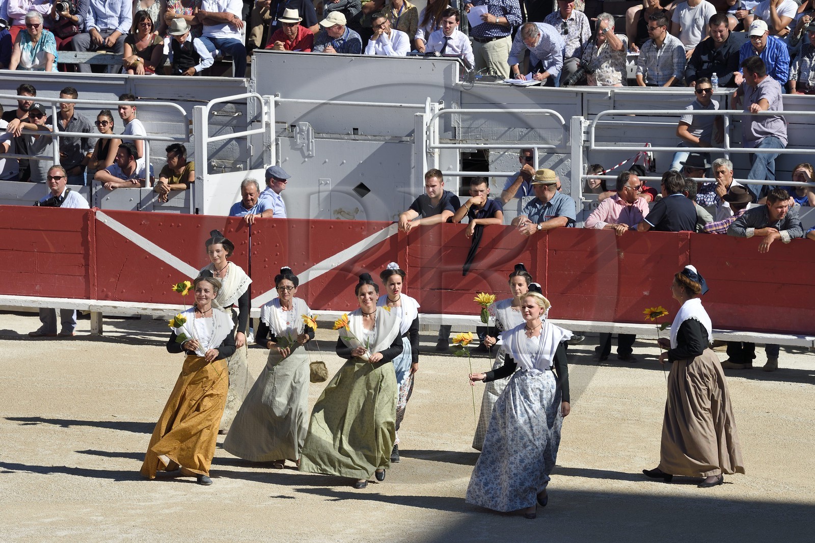 France, Bouches-du-Rhône (13), Arles, spectacle précédant la course camarguaise  de la Cocarde d'Or aux Arènes