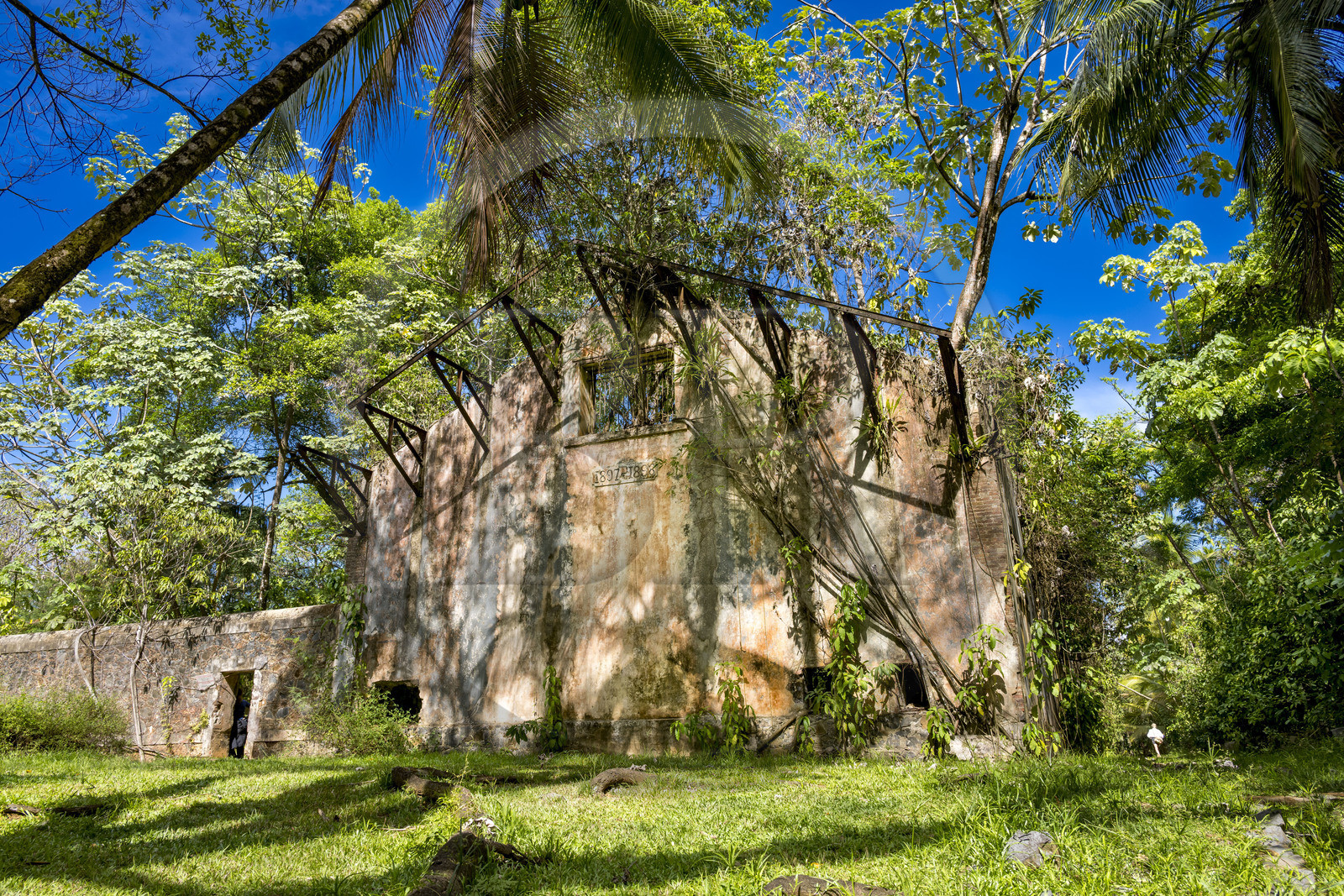 France, Guyane, Kourou, Iles du Salut, l'Ile Saint-Joseph, ruine du bagne consacré à la réclusion des prisonniers les plus difficiles