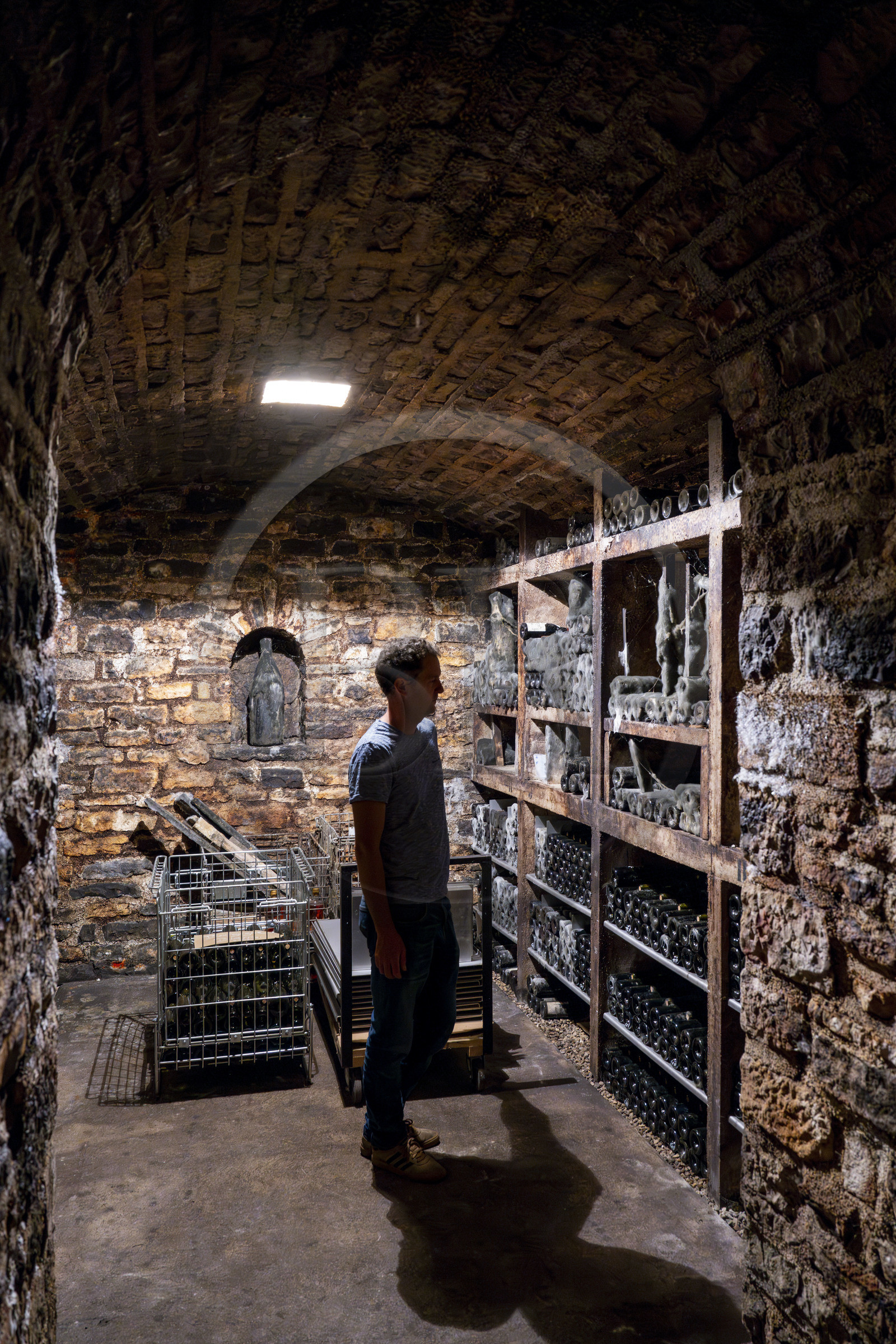 France, Côte-d'Or (21), Paysage culturel des climats de Bourgogne classés Patrimoine Mondial de l'UNESCO, Route des Grands Crus, vignoble de la Côte de Nuits, Gevrey-Chambertin, Domaine Dugat, Bertrand Dugat dans sa cave à vin