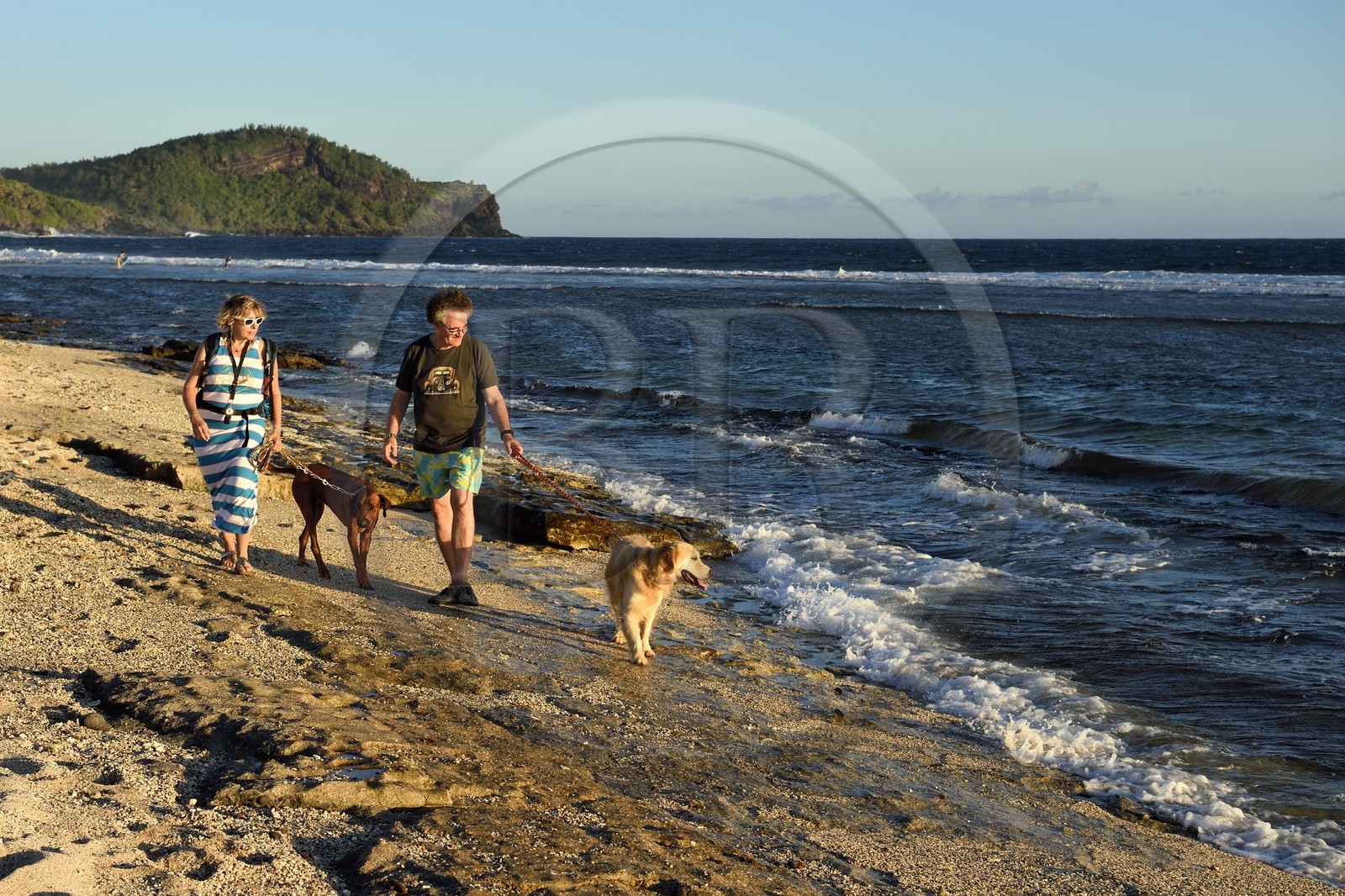 France, Reunion island (French overseas department), south coast, couple of walkers with their dogs on Petite-Ile beach