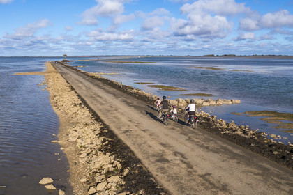 France, Vendée (85), île de Noirmoutier, Barbatre, cyclistes sur le passage du Gois à marée montante, chaussée submersible qui relie l'île au continent à marrée basse (vue aérienne)