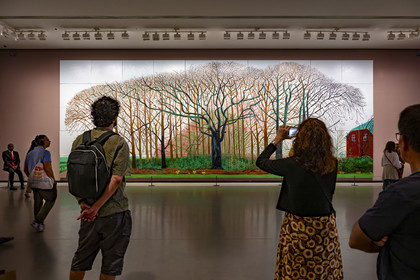 France, Paris (75), Bois de Boulogne, la fondation Louis Vuitton de l'architecte Frank Gehry, exposition David Hockney 25, Bigger Trees near Warter or ou Peinture sur le Motif pour le Nouvel Age Post-Photographique (2007), huile sur 50 toiles