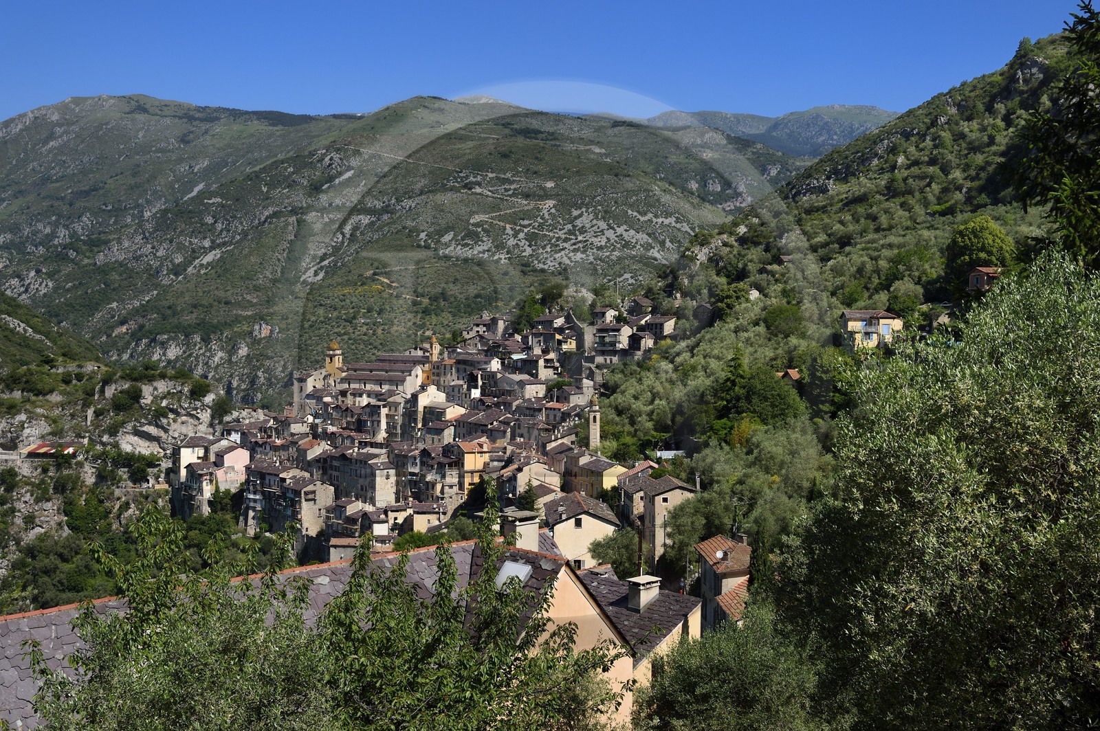 France, Alpes-Maritimes (06), vallée de la Roya (arrière-pays niçois), au pied du parc national du Mercantour, Saorge