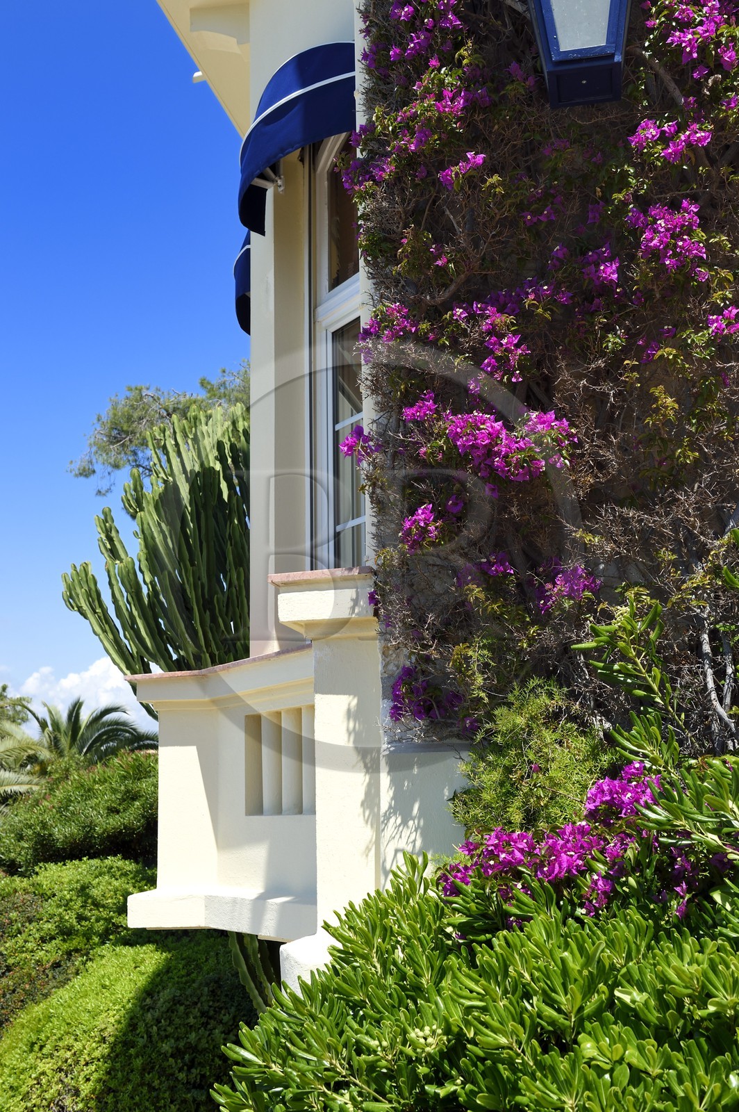 France, Alpes-Maritimes (06), Antibes,  Juan-les-Pins, hotel Belle Rives