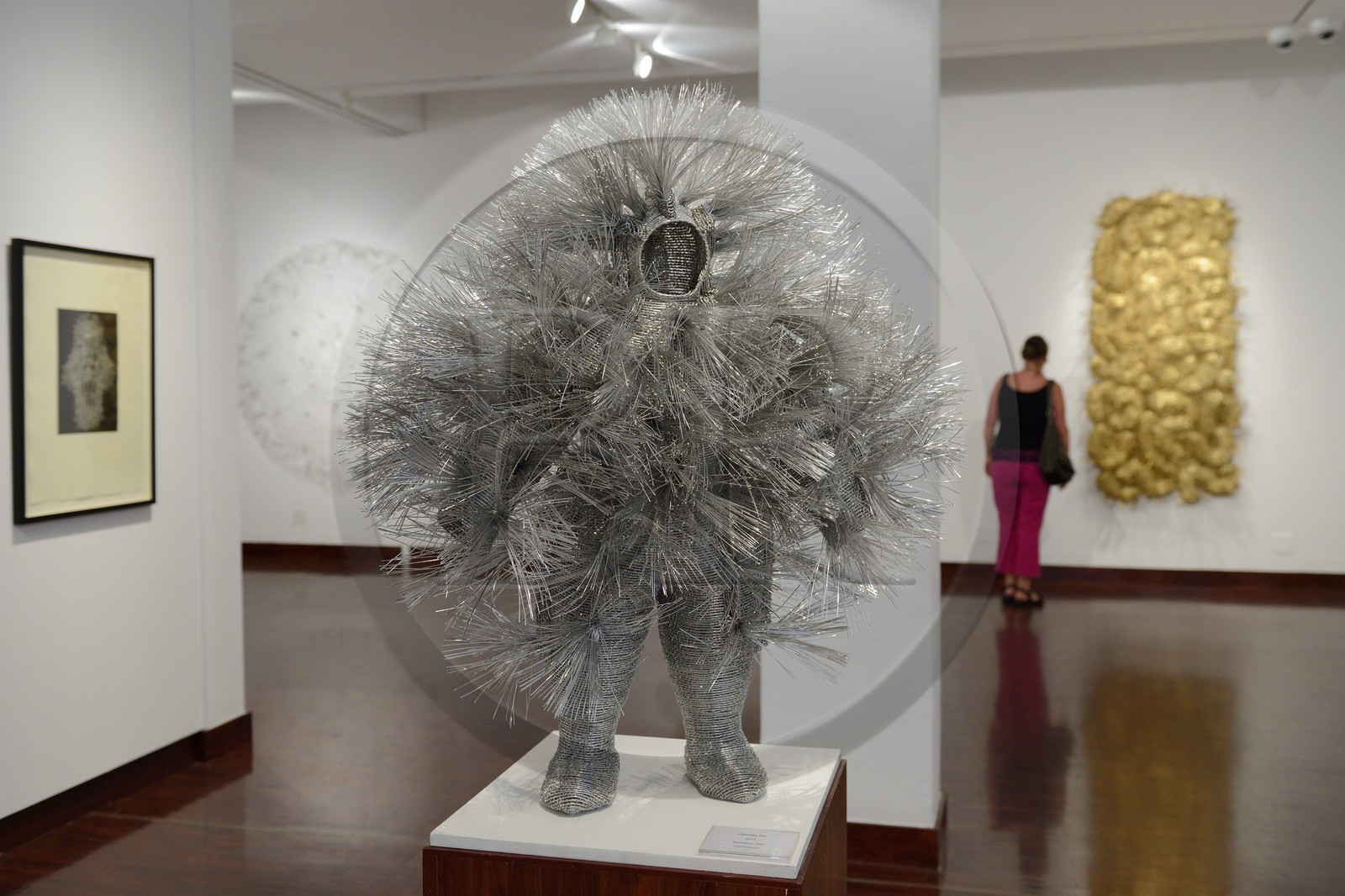 Afrique du Sud, province de Gauteng, Johannesburg, la Standard Bank Gallery, Dans le Tissage (In the Weave), une exposition d'œuvres de Walter Oltmann, l'un des artistes les plus connus d'Afrique du Sud, Caterpillar Suit (fil d'aluminium) 2013