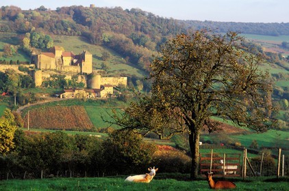 France, Saône-et-Loire (71), le château de Berzé-le-Châtel
