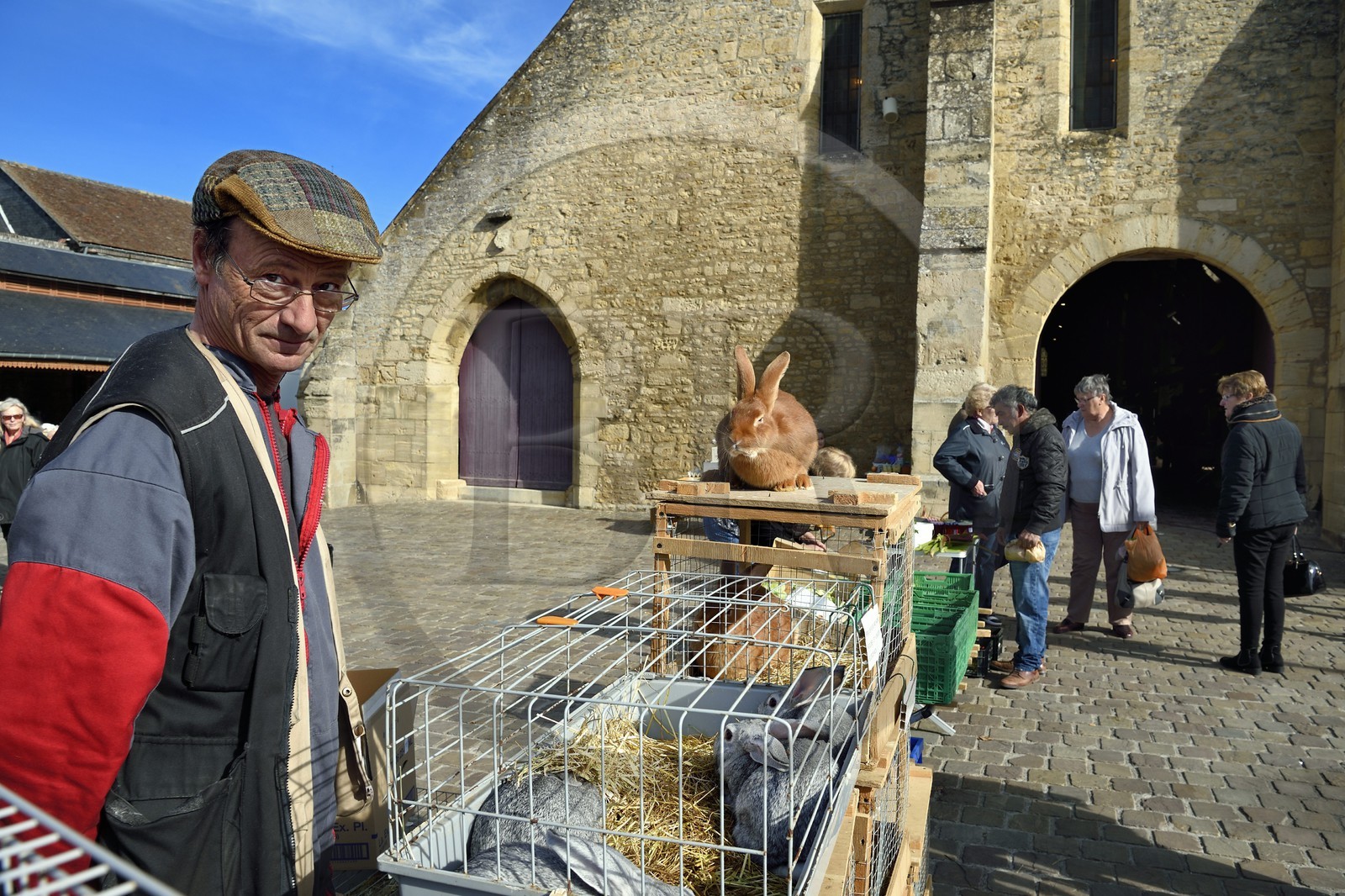 France, Calvados, Pays d'Auge, Saint Pierre sur Dives, market day in front of the 11th century covered market rebuilt in the 15th century, the breeder Pierre-Alain sells his rabbits alive