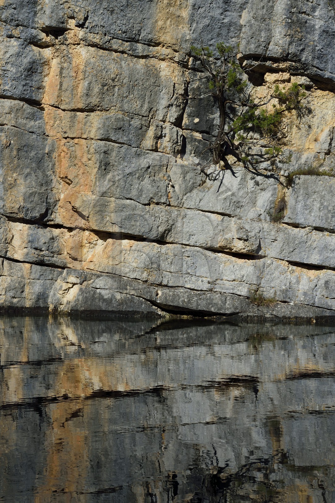 Var on the Left Bank and Alpes de Haute Provence on the Right Bank, Parc Naturel Regional du Verdon, Basses Gorges du Verdon downstream of Lake St. Croix, gorges de Baudinard.