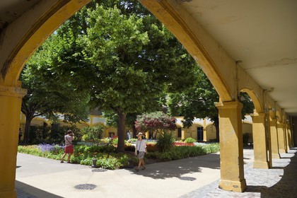France, Bouches-du-Rhône (13), Arles, Espace Van Gogh, ancien Hotel Dieu