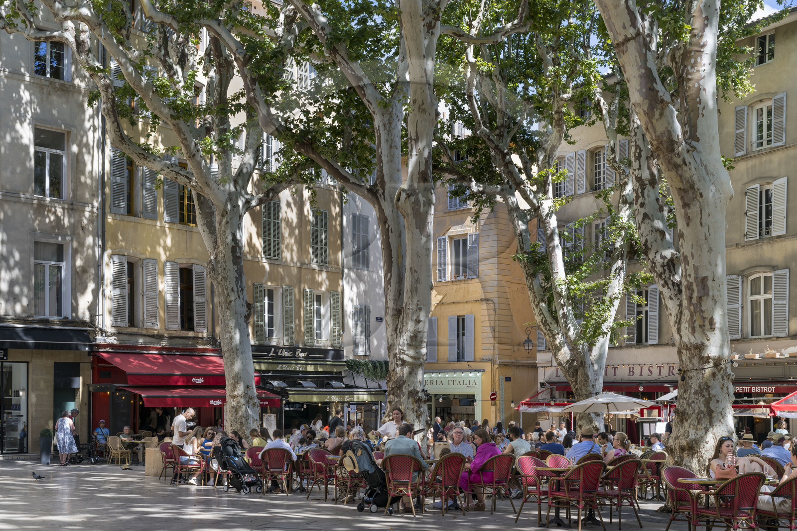 France, Bouches-du-Rhône (13), Aix en Provence, terrasse de café place Richelme