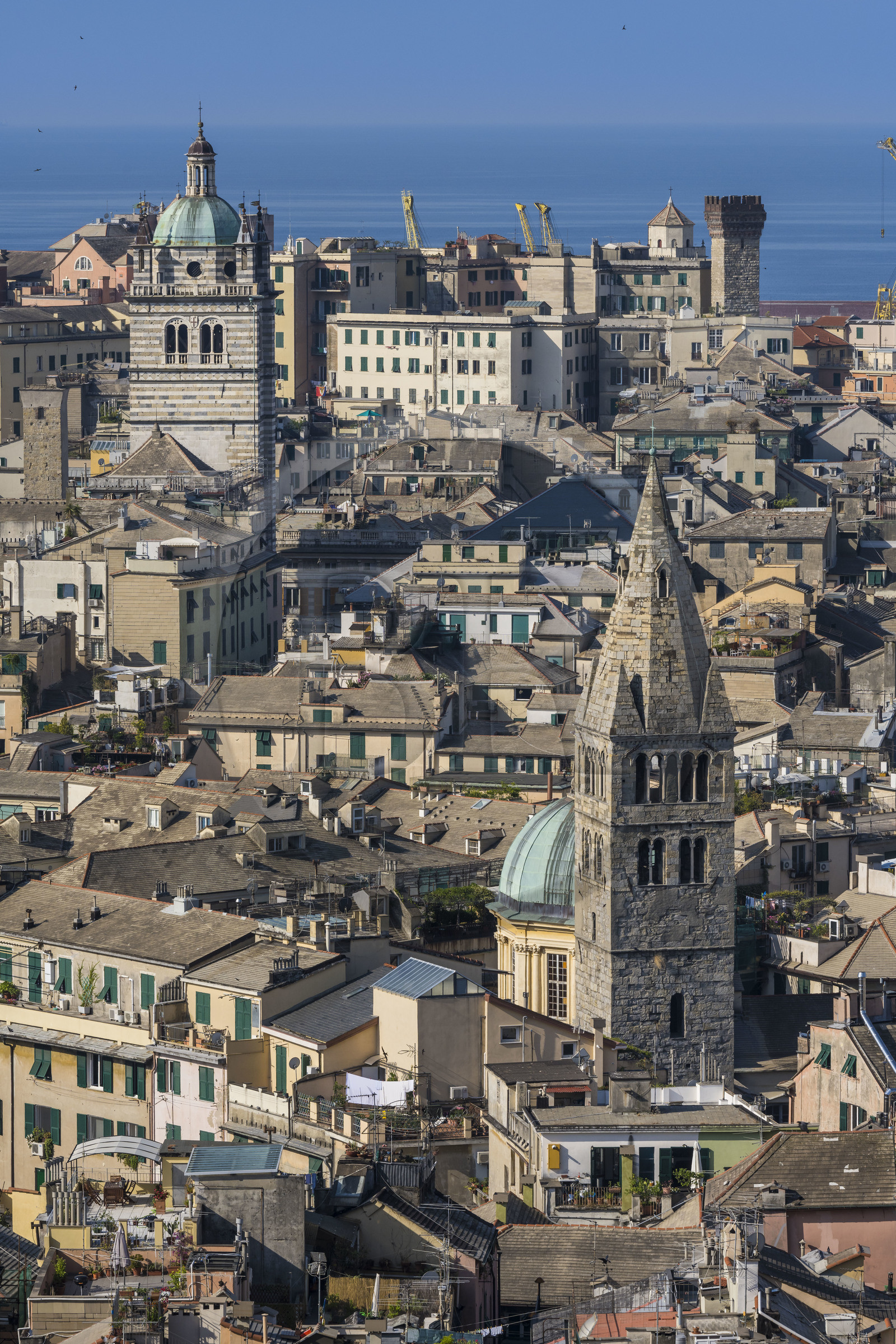 Italie, Ligurie, Gênes, la Basilique Santa Maria delle Vigne et la cathédrale (Cattedrale di San Lorenzo) en arrière plan
