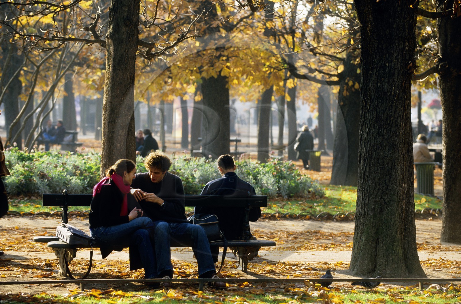 France, Paris (75), jardin du Luxembourg, un couple d'amoureux