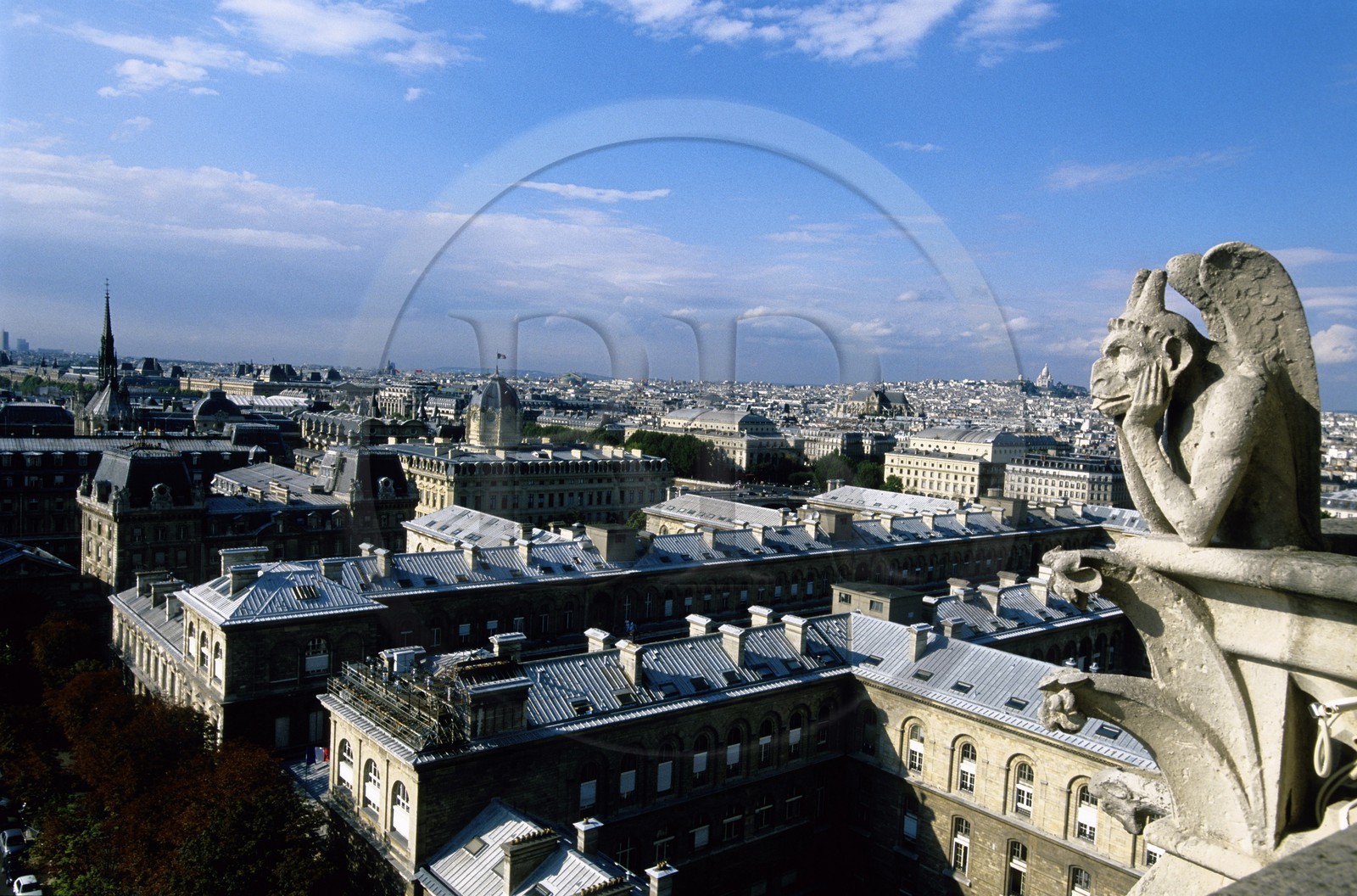 France, Paris, Ile de la Cite, Notre Dame de Paris Cathedral, gargoyle with view on Hotel Dieu