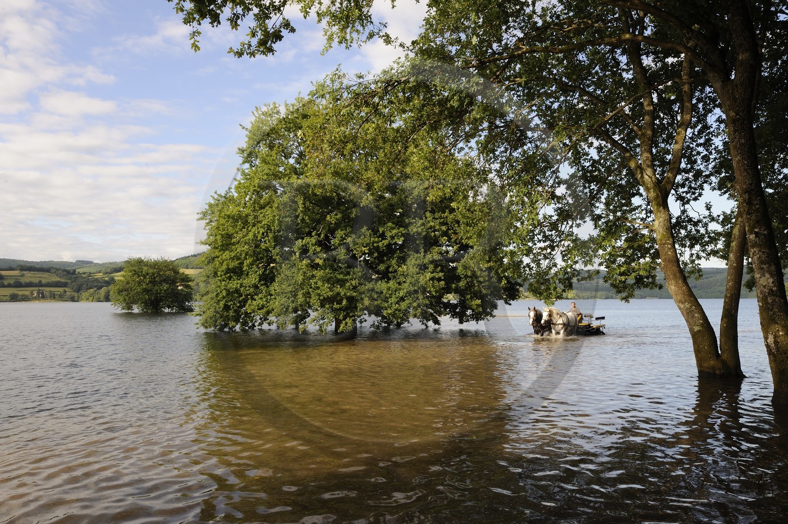 France, Nièvre (58), lac de Pannecière, découverte équestre du lac