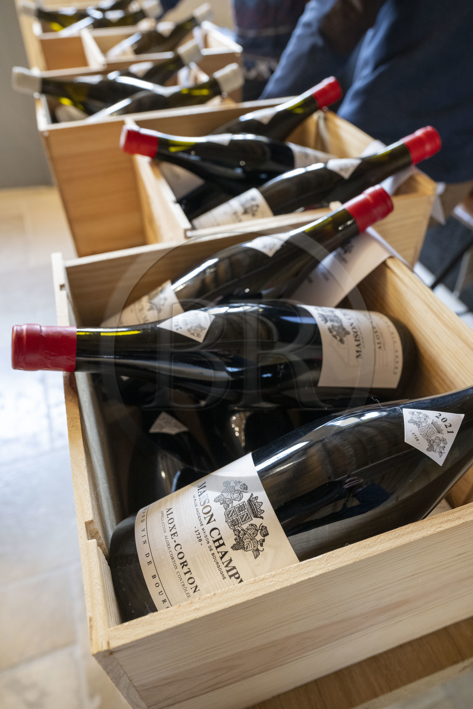 France, Cote d'Or, Climats terroirs of Burgundy listed as World Heritage by UNESCO, Beaune, Maison Champy prestigious Burgundy wines, the oldest wine trading house in Burgundy, founded in 1720