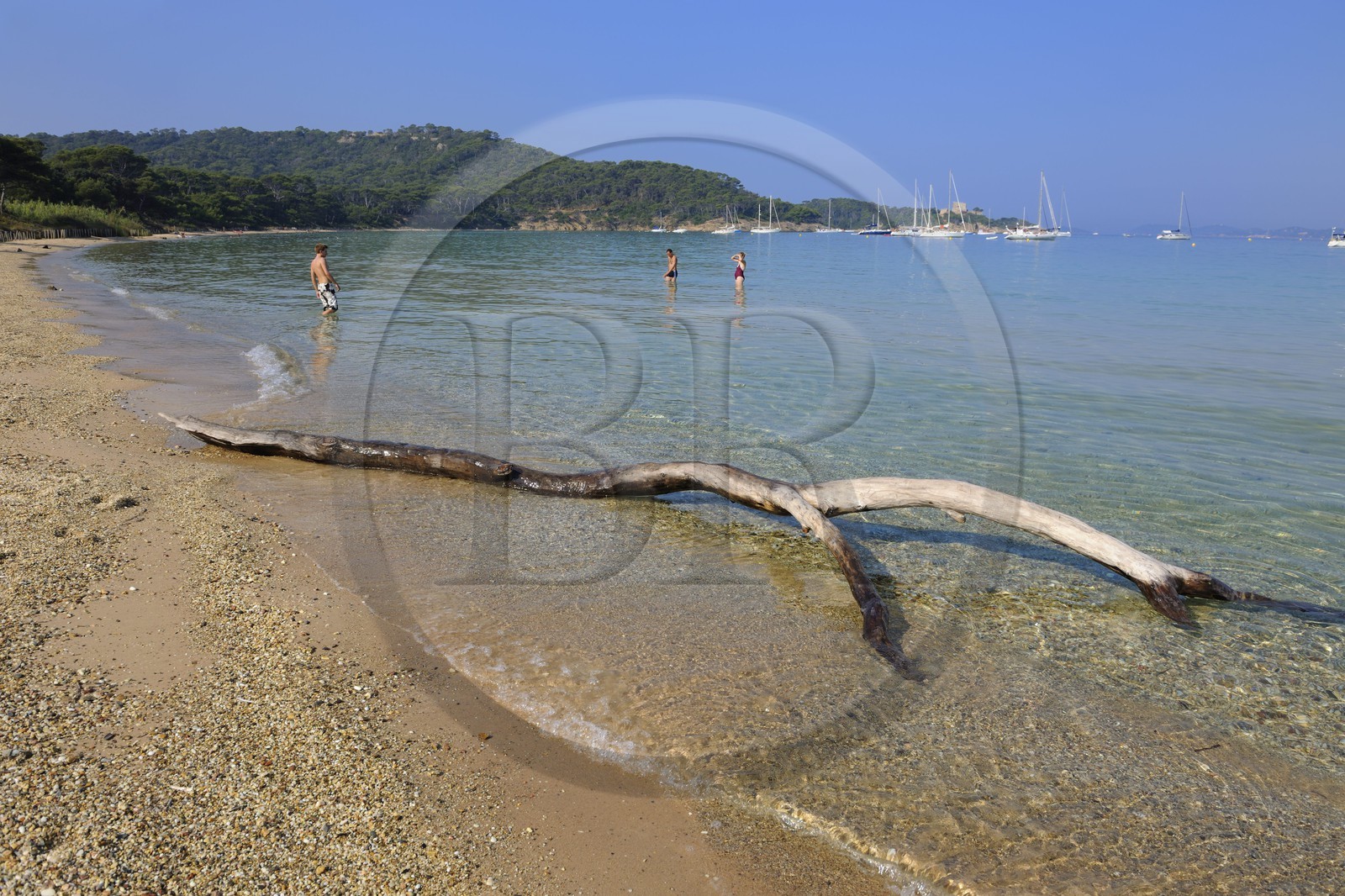 France, Var (83), Iles d'Hyères, parc national de Port-Cros, île de Porquerolles, la Plage Notre Dame
