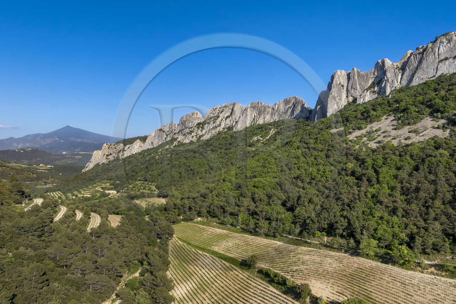 France, Vaucluse, Dentelles de Montmirail mountains, the mountain of the Dentelles Sarrasines and the terraced vineyards at the Cayron pass, Mont Ventoux in the background (aerial view)