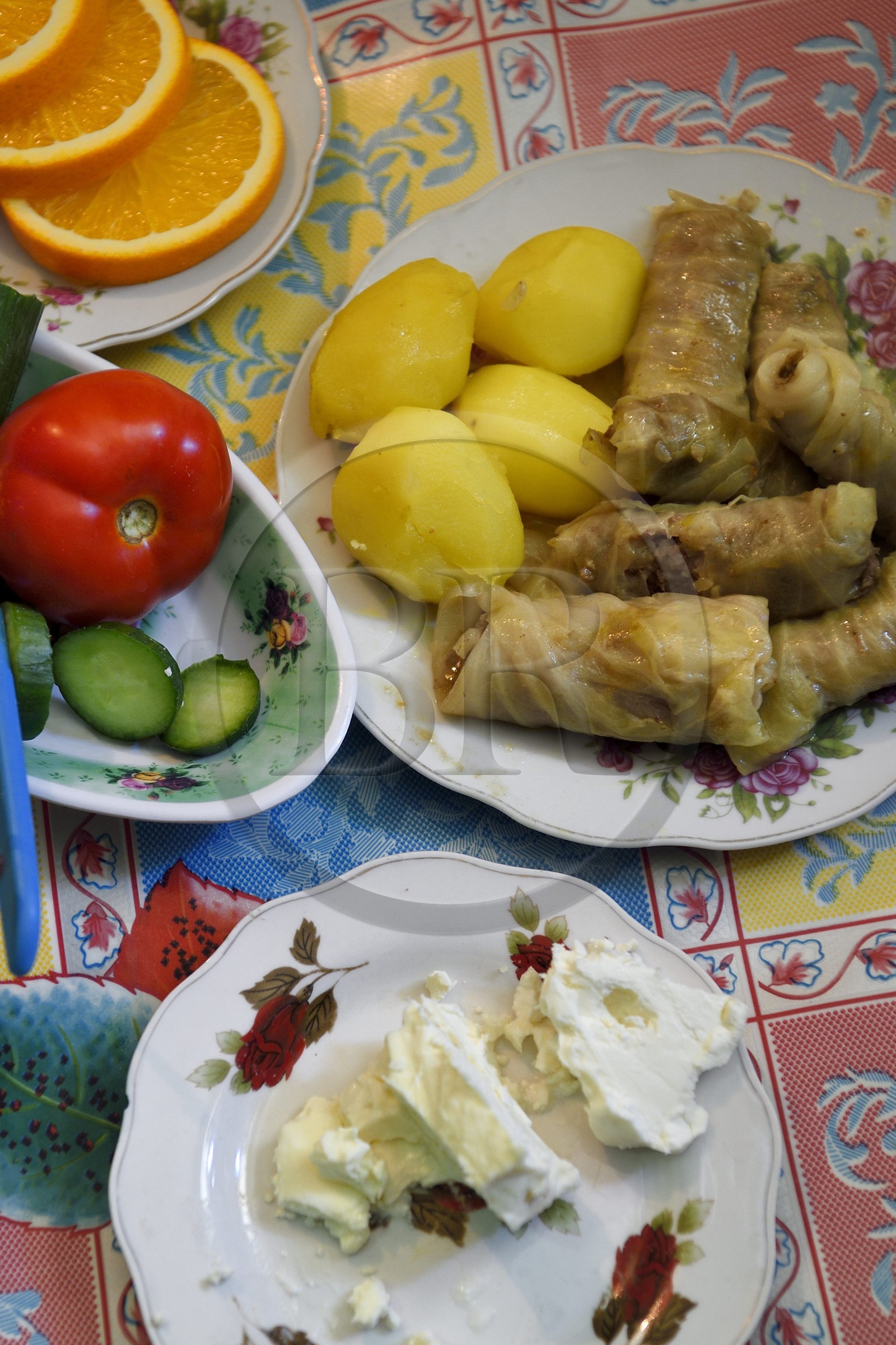 Azerbaïdjan, région de Quba (Guba), chaine de montagne du Grand Caucase, village de Khinalug (Xinaliq), déjeuner chez l'habitant, dolmas de choux farcis à l'agneau et fromage de chèvre