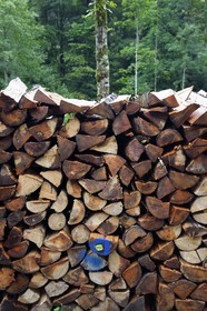 France, Haut Rhin, Ballons des Vosges Regional Natural Park, Storckensohn valley West of Fellering, steres of beech wood, sold to the inhabitants of the valleys for their heating