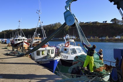 Royaume-Uni, Ecosse, Highland, Hébrides intérieures, Ile de Mull, la ville principale Tobermory et son port