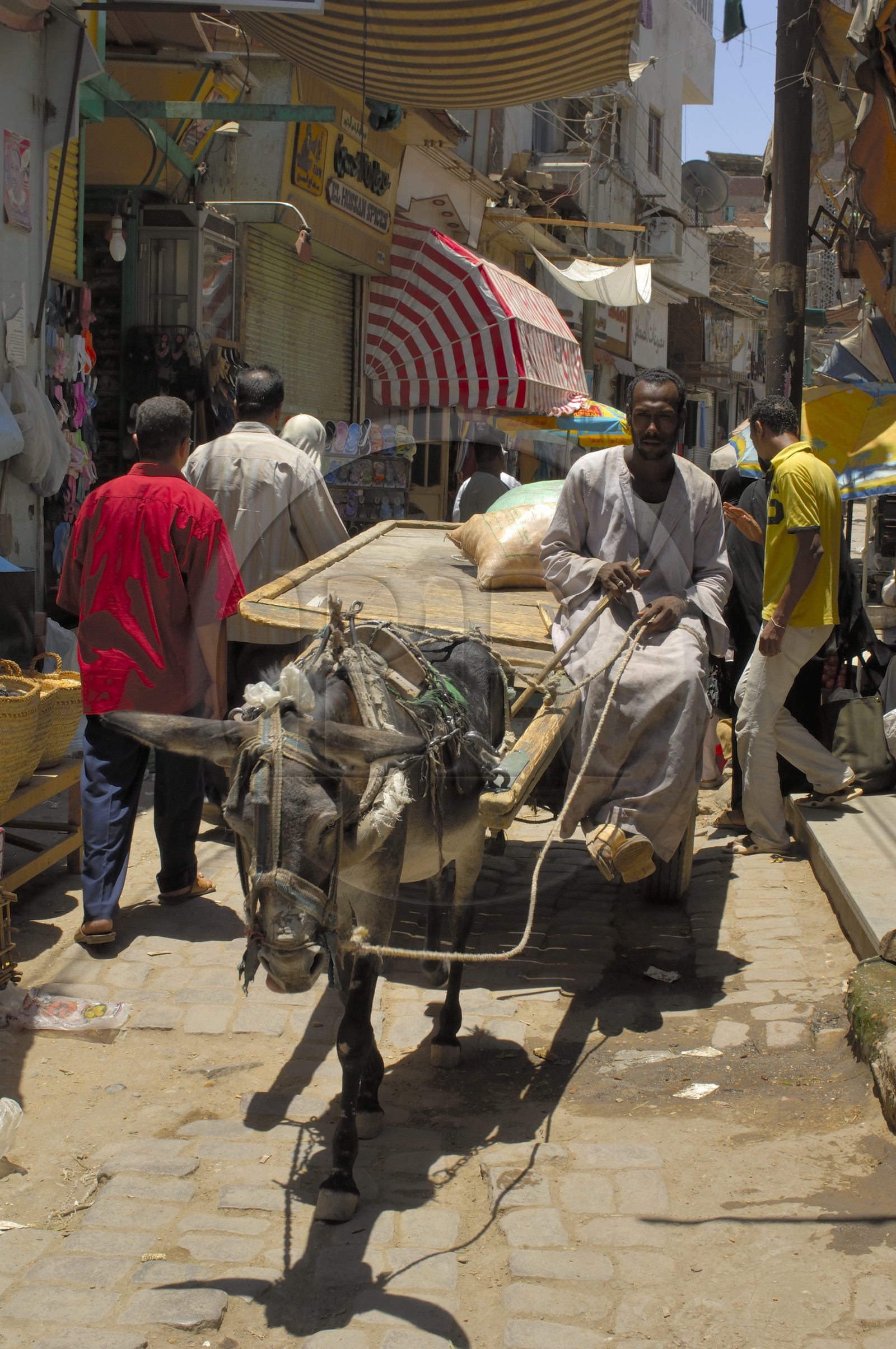 Egypte, Haute Egypte, Nubie, vallée du Nil, Assouan, le souk
