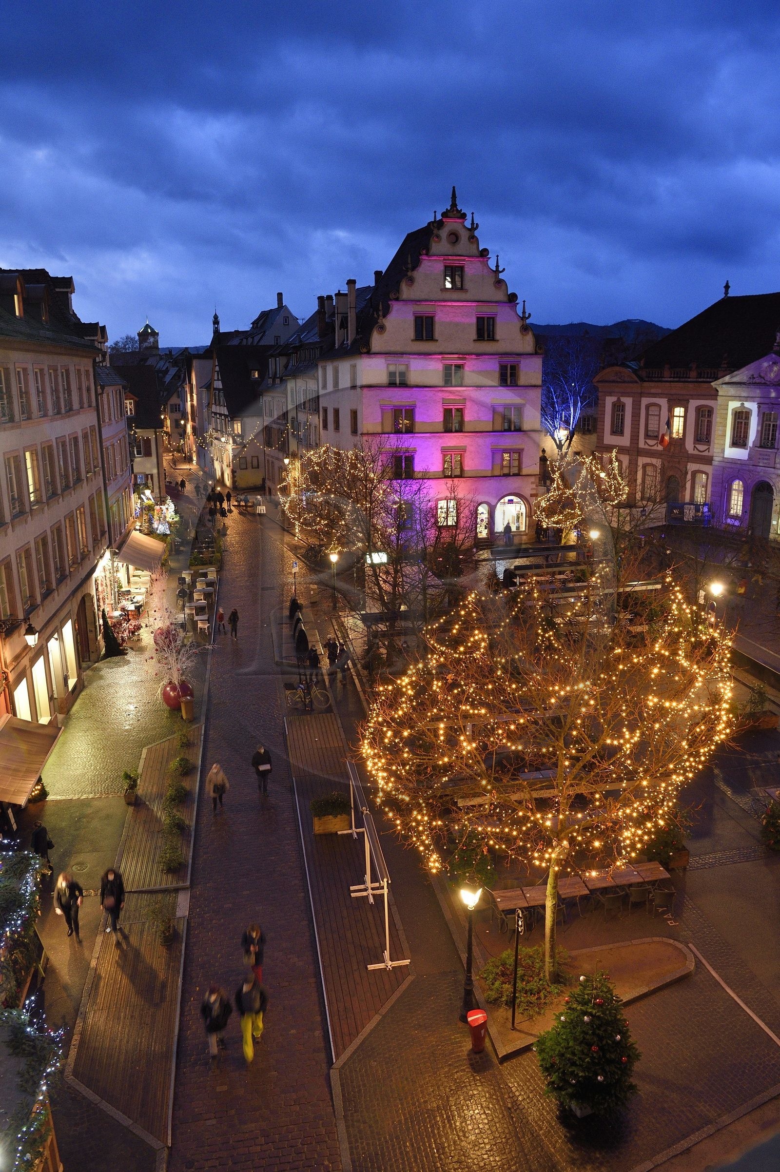 France, Haut Rhin, Colmar, gabled house Rue du Conseil Souverain with Christmas decorations