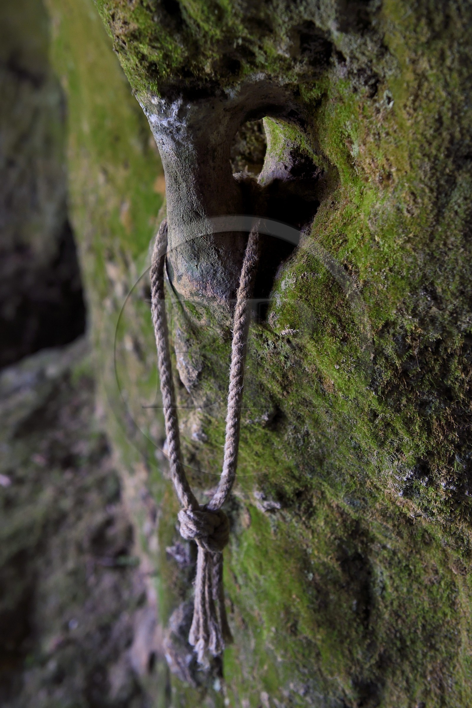 France, Dordogne (24), Périgord Noir, vallée de la Vézère, site préhistorique et grotte ornée classés Patrimoine Mondial de l'UNESCO, Peyzac-le-Moustier, falaise de La Roque-Saint-Christophe, site troglotytique datant de la Préhistoire, anneau à cheval cresé dans l'abris sous roche