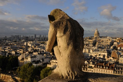 France, Paris (75), île de la Cité, la cathédrale Notre-Dame, les chimères observent la ville, le singe assis et le Panthéon