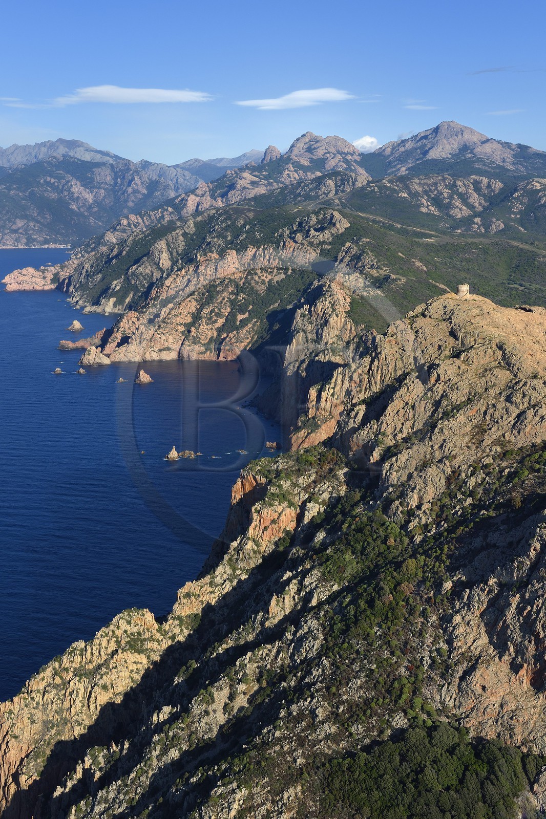 France, Corse du Sud, Golfe de Porto, listed as World Heritage by UNESCO, the Capo Rosso and the Genovese Tower of Turghiu (Turghio) in the background (aerial view)