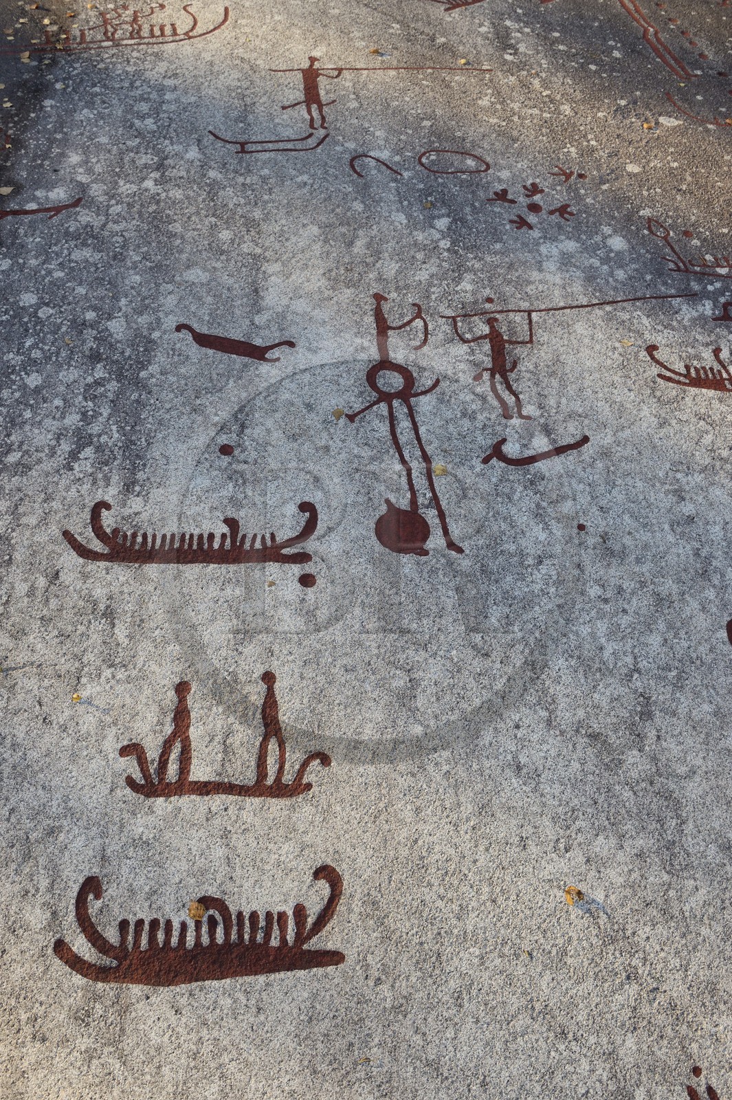 Suède, comté de Bohuslän, Tanum Vitlycke, site classé Patrimoine Mondial de l'UNESCO, gravures rupestres