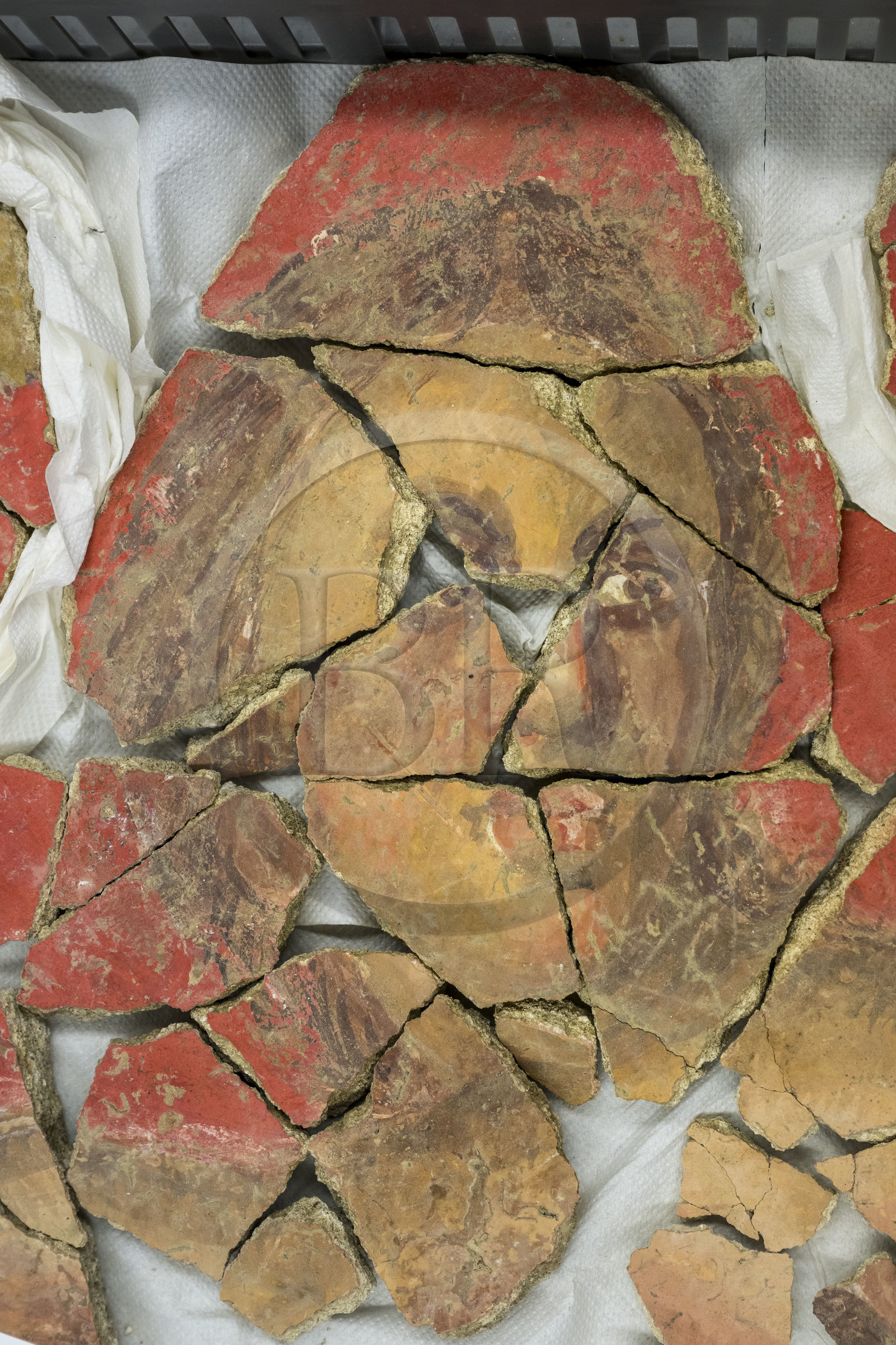 France, Bouches-du-Rhône (13), Arles, musée départemental Arles antique, salle d’étude du service archéologie, recherches des fouilles du site de l'ancienne verrerie de Trinquetaille sur la rive droite du Rhone, maison de la harpiste (entre 70 et 50 av. J.-C.), fragments de la peinture murale à fresque d'un personnage masculin du décor de la salle de reception adoptant du rouge vermillon avec le pigment le Cinabre le plus couteux du monde romain