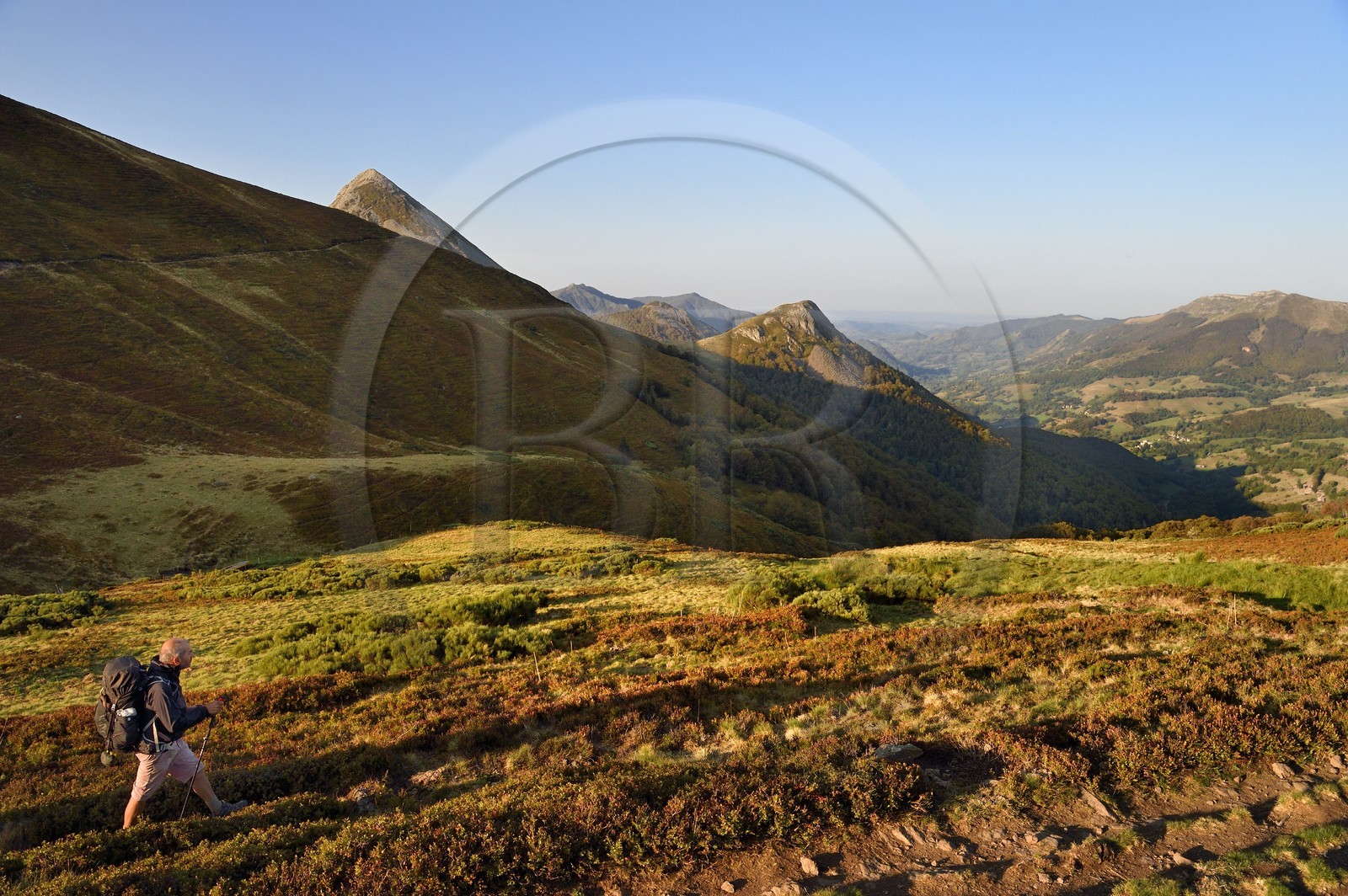 France, Cantal (15), Parc Naturel Régional des Volcans d'Auvergne, Le Lioran, col de Rombière surplombant la vallée de la Jordanne, randonneurs sur le chemin de Saint-Jacques de Compostelle par la Via Arverna, en arrière plan le Puy Griou émergeant à gauche et le Griounou à sa droite