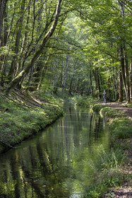 France, Nievre, Regional Natural Park of Morvan, downstream of the Montreuillon aqueduct, cyclist on the path along the Rigole d'Yonne which draws water from the Yonne at Lake Pannecière and feeds the Nivernais Canal