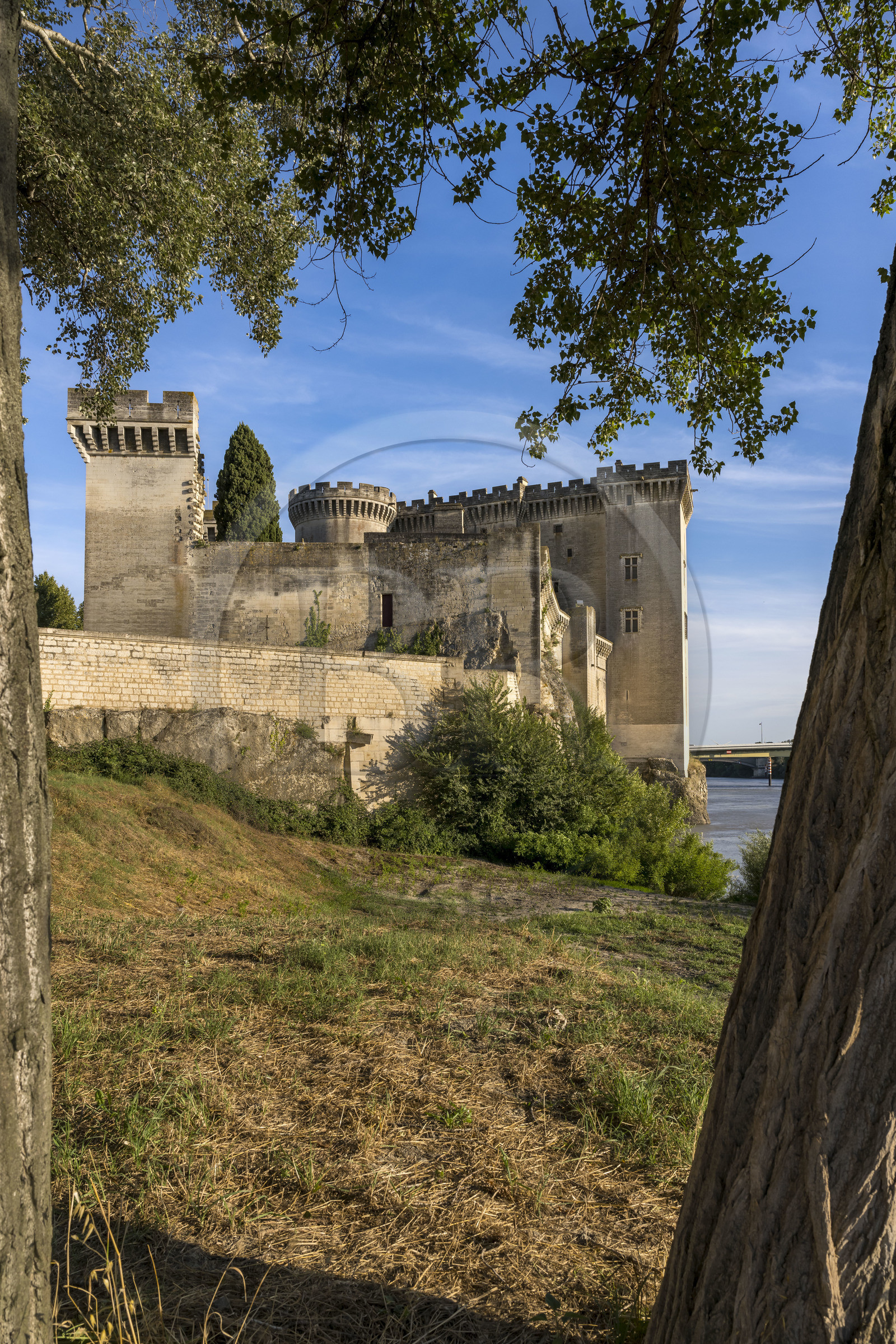 France, Bouches-du-Rhône (13), Tarascon, le chateau du roi René datant du XVe siècle en bordure du Rhone