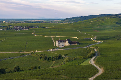 France, Cote d'Or, cultural Landscape of the climates of Burgundy listed as World Heritage by UNESCO, Route des Grands Crus (road of Vintage Wines), vineyard of the Côte de Nuits, Vougeot, the Chateau of Clos de Vougeot surrounded by vineyards (aerial view)